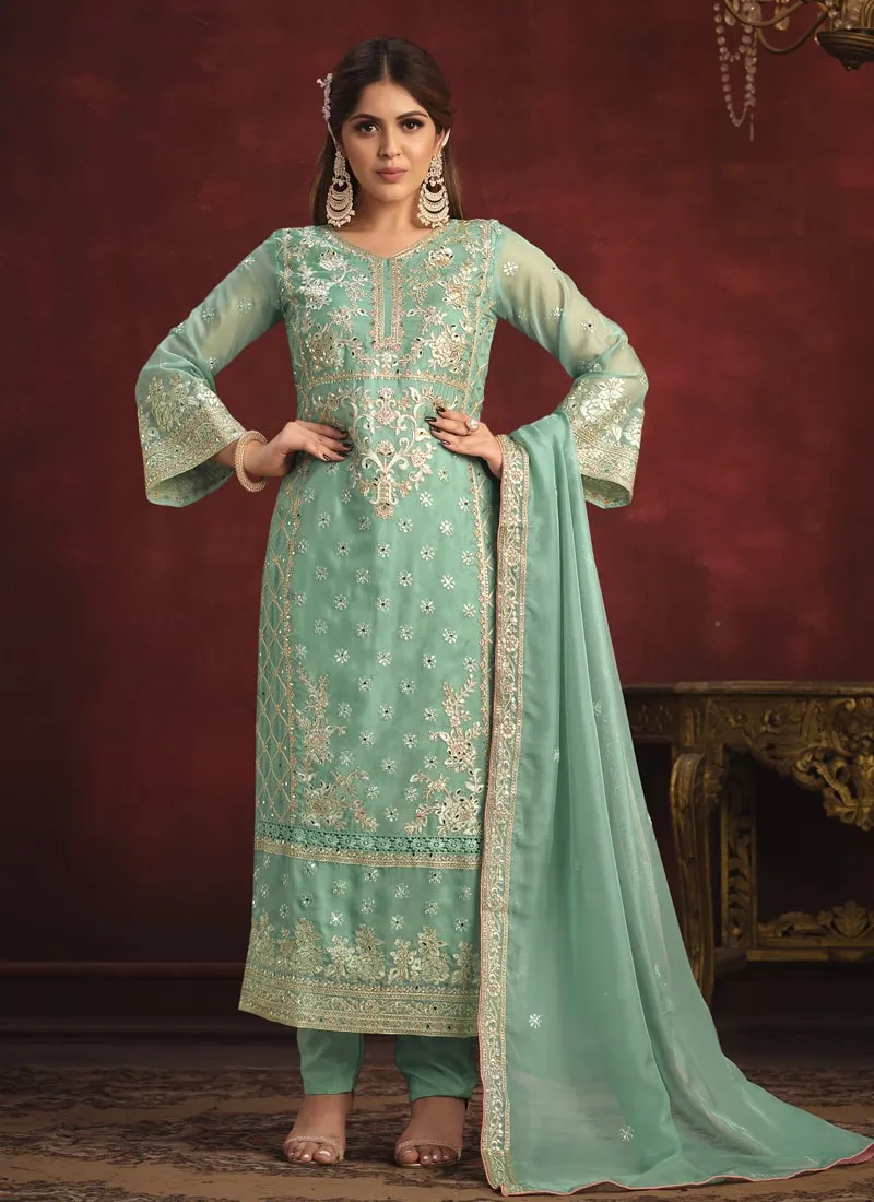 Embroidered Straight Salwar Suit in Viscose Organza