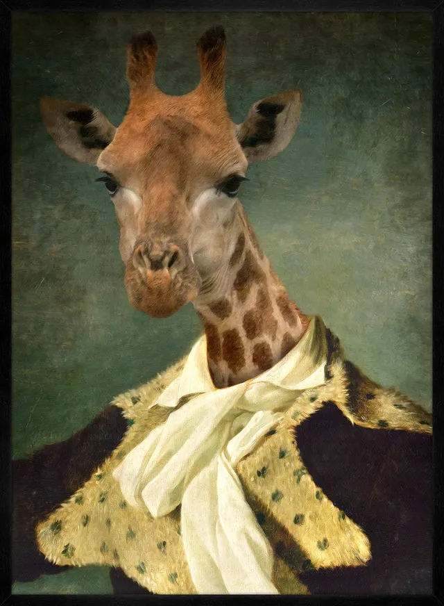Giraffe Portrait Print