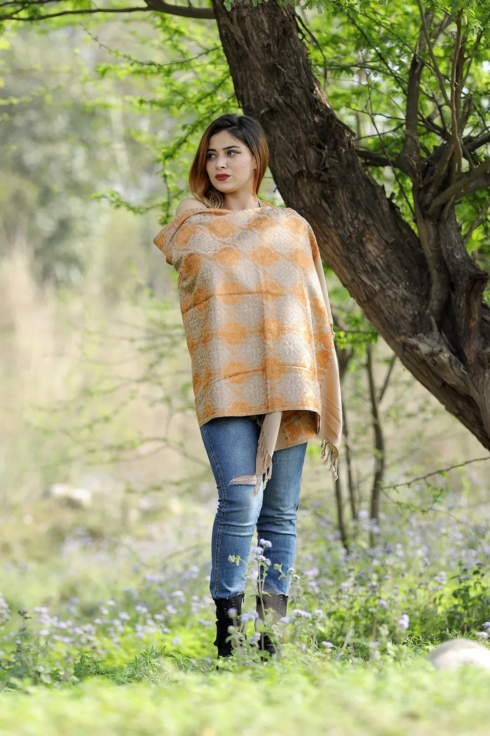 GORGIOUS ACCRUE BEIGE Black Colour Stole With Graceful Dense Jaal Pattern Of Kashmiri Embroidery Makes It An Ideal Wear.
