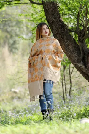 GORGIOUS ACCRUE BEIGE Black Colour Stole With Graceful Dense Jaal Pattern Of Kashmiri Embroidery Makes It An Ideal Wear.